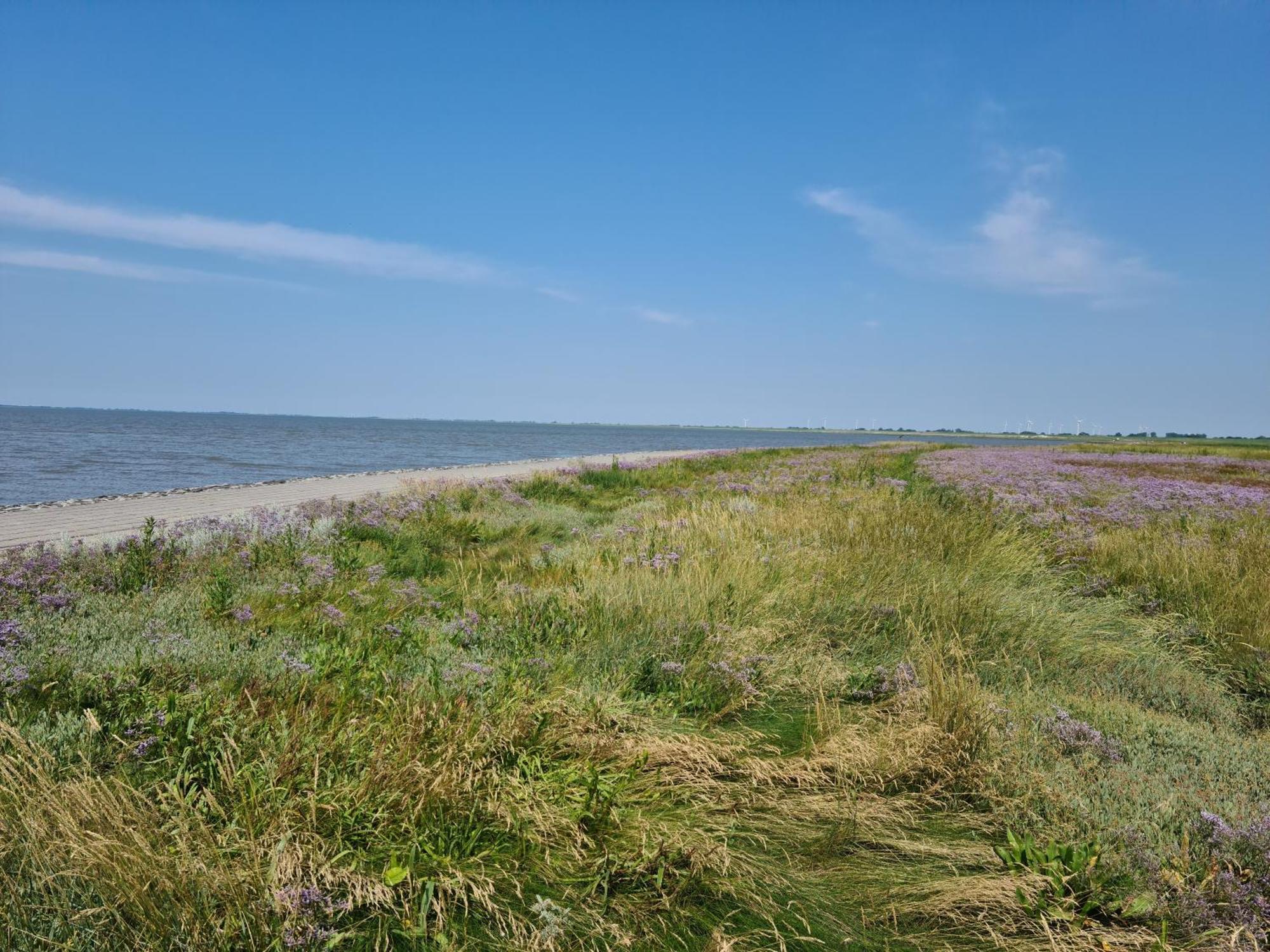 Haus Pudelwohl - Hundefreundliches Ferienhaus An Der Nordseekueste Sehestedt  外观 照片